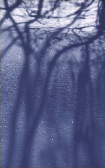 Shadows